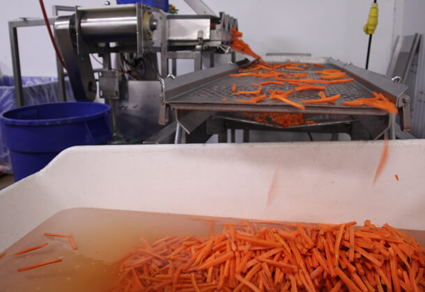 Carrot Cutter  4 Headed - CMI Equipment & Engineering Co.